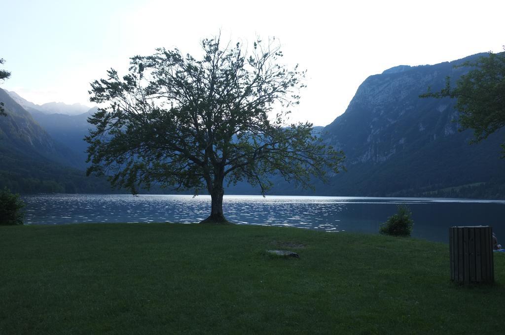 Apartment Brumec Bohinj Εξωτερικό φωτογραφία